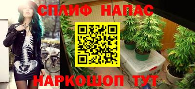 a pvp Волгодонск