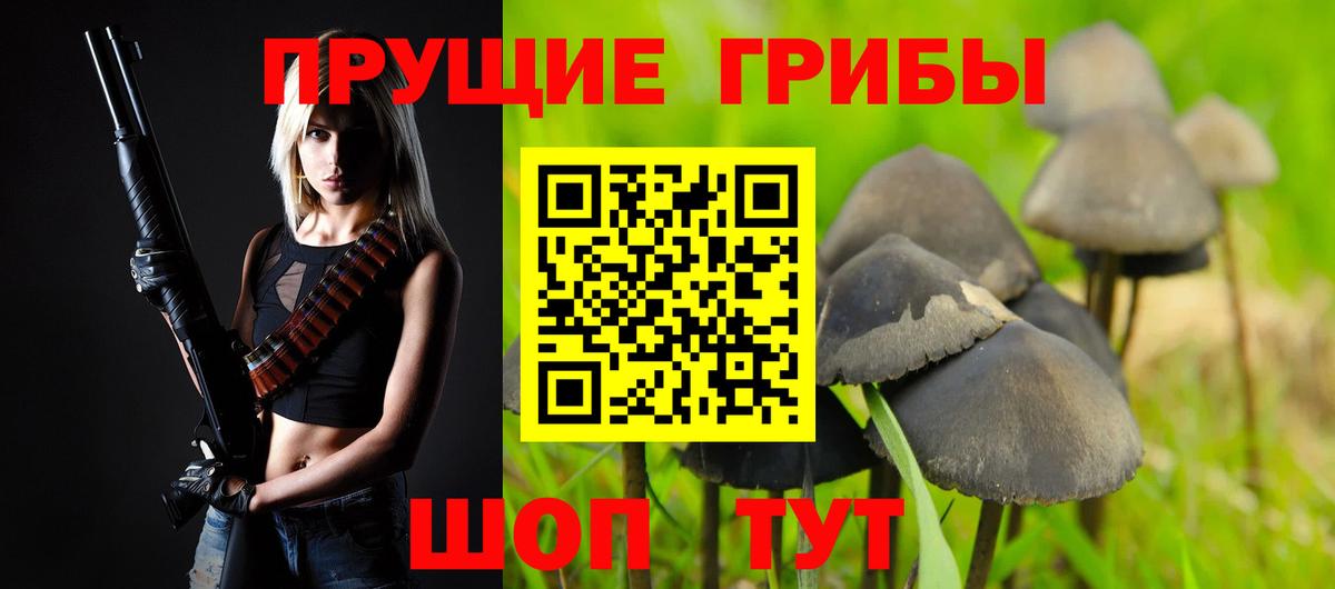 Псилоцибиновые грибы Psilocybine cubensis  купить наркотики сайты  Петропавловск-Камчатский  Вход с VPN 